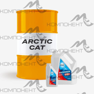 Антифриз ARCTIC CAT G12+ (концентрат) 216.5л