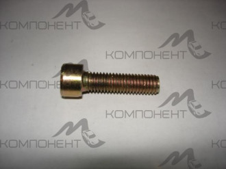 Винт М8*30 внут. шестигр. крышки цепи 406