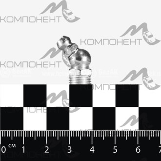 Болт "Тавотница"  (угловая 45 град.) 10мм БелАК