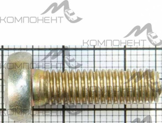 Винт М6*20 цилиндрический крестообразный поручня 2101,стартера