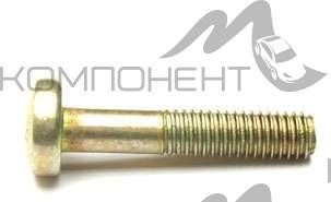 Винт М6*30 поручня 2101
