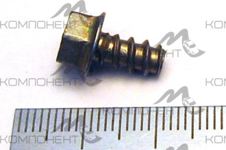 Саморез М5,6*10 под ключ "8"