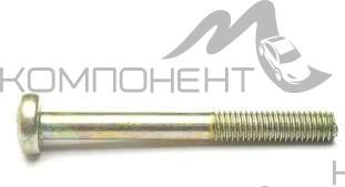 Винт М6*55 поручня 2110