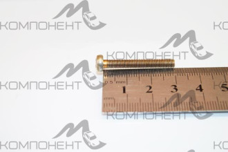 Винт М4*30 цилиндрический крестообразный регулятора напряжения 2105