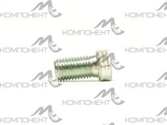 Болт М10*1,25*18 крепления петли двери 2108