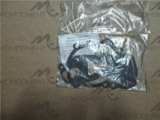 Комплект прокладок помпы УАЗ 100 "ПАК" Рязань