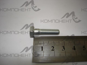 Болт М 6*1*25 масляного насоса 2108-10 РЗИ