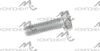 Болт М 6*1*20 радиатора, брызговика РЗИ