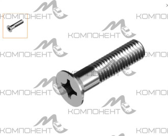 Винт М10*20 тормозного барабана Газель, Г-53 РЗИ
