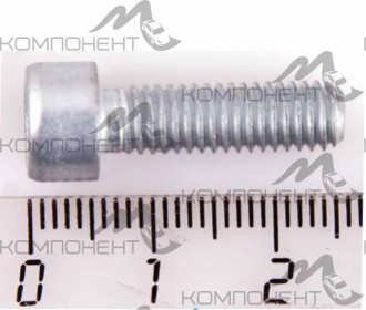Винт М 6*1*20 с внутренним шестигранником корпуса маслянного насоса 2108 РЗИ